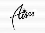 Aimworld Company